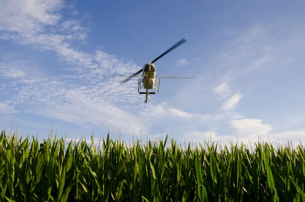 IFOAM EU calls for target of at least 20% organic land in the EU